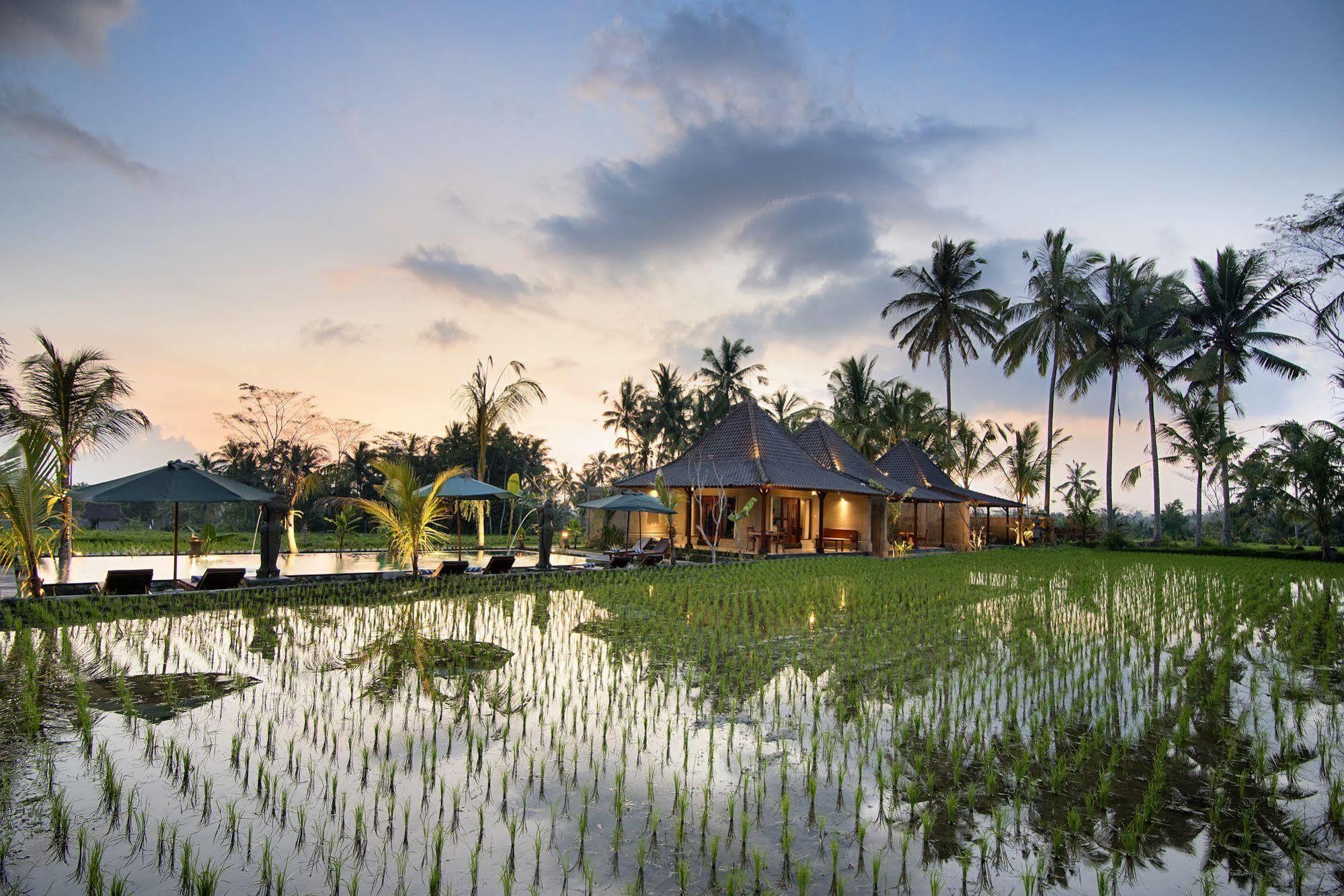 Pajar House Ubud Suite & Villas المظهر الخارجي الصورة