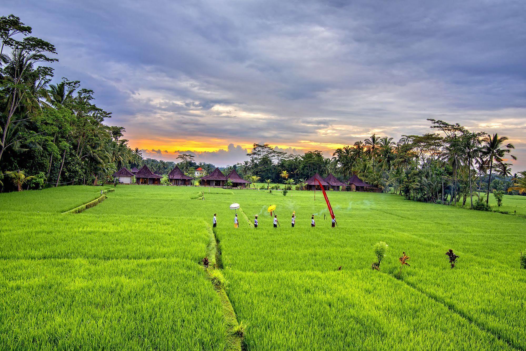 Pajar House Ubud Suite & Villas المظهر الخارجي الصورة
