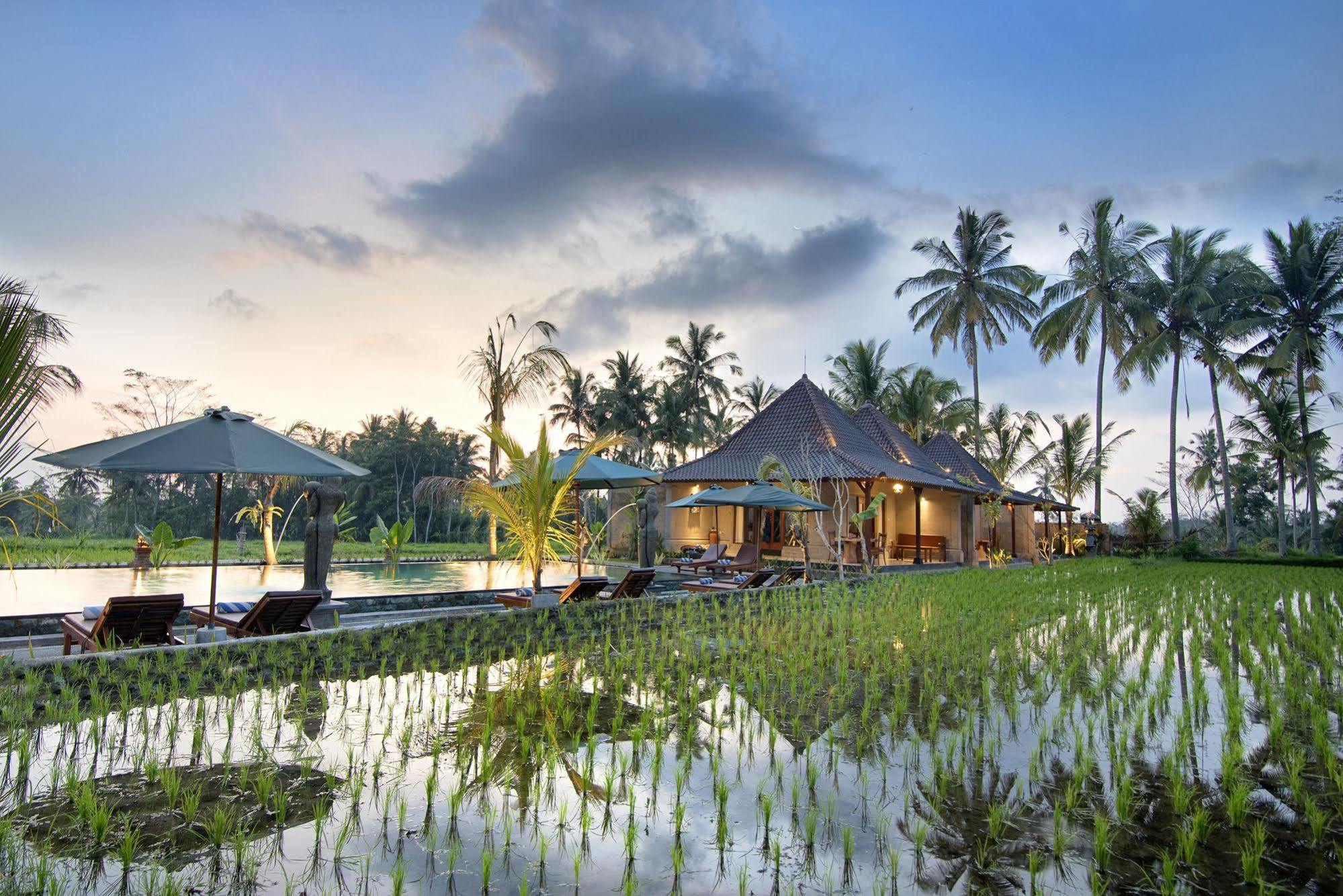 Pajar House Ubud Suite & Villas المظهر الخارجي الصورة