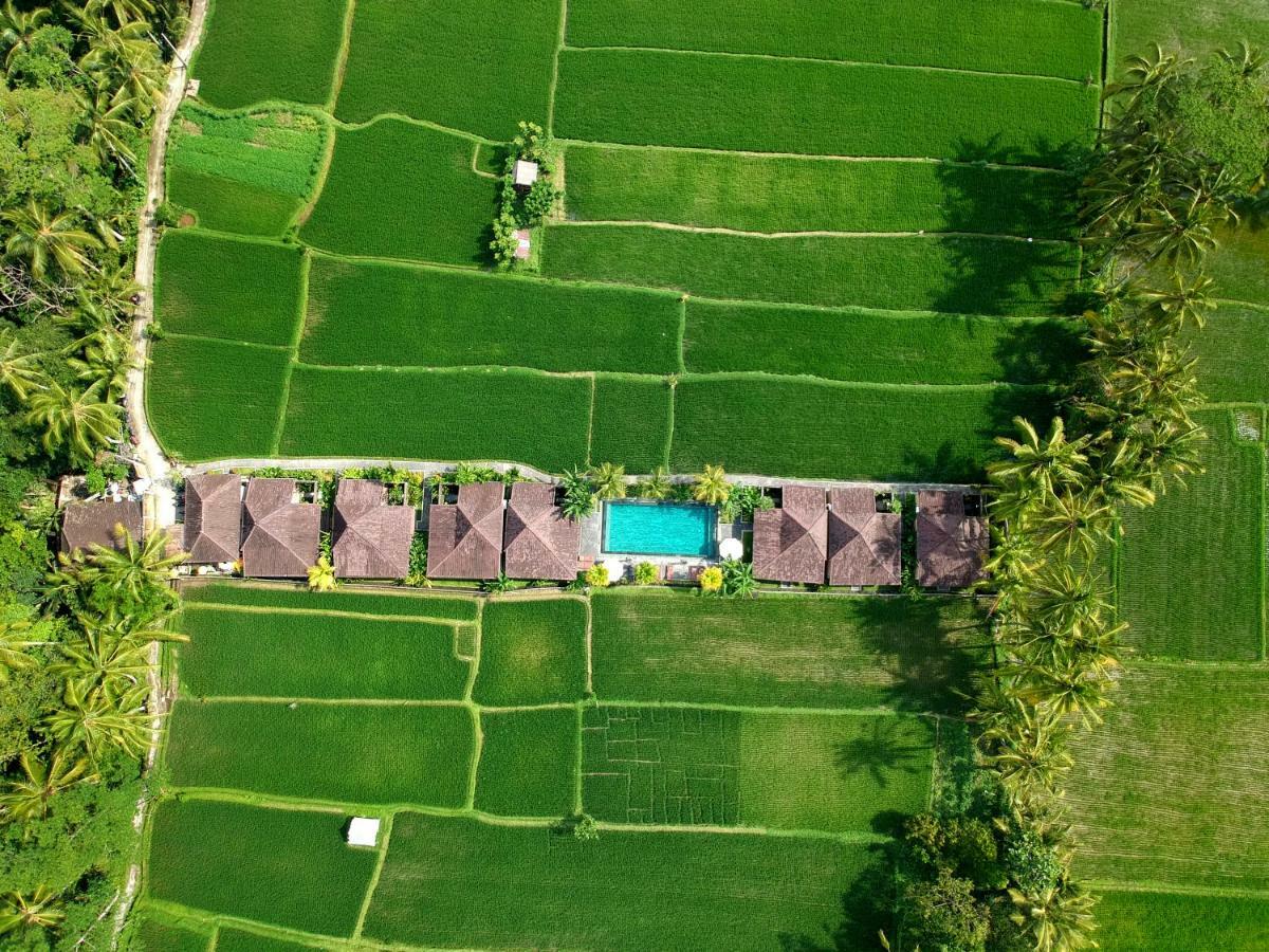 Pajar House Ubud Suite & Villas المظهر الخارجي الصورة